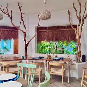 book here